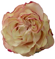 Роза Bella Роза S.a. Country Candy дл.60 25шт