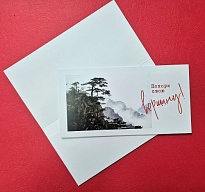 Конверт для денег дизайнерский Покори свою вершину! 19*10см