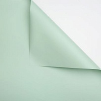 Пленка матовая 57*57см Монако 20 листов пастельно-зеленый