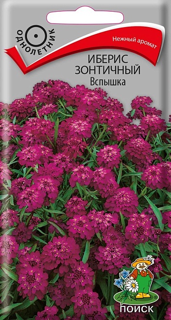 Иберис зонтичный Вспышка 0,3г /Поиск