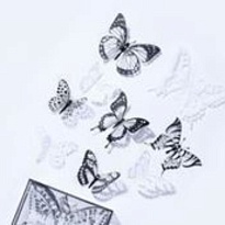 Бабочка 32шт/уп черно-белые