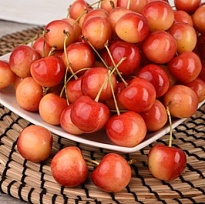 Вишня Сестренка (дюк) подв. семенной/С 1шт