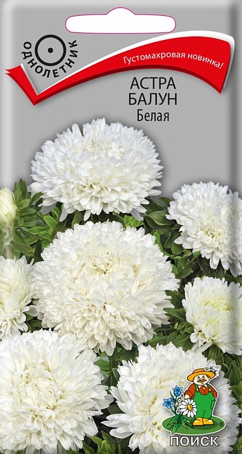 Астра Балун Белая 0,1г /Поиск
