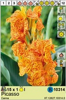 Канна Пикассо 1шт*