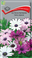 Остеоспермум Смесь окрасок 0,1г /Поиск