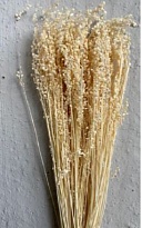 Бриза Segro Bleached пучок 1шт