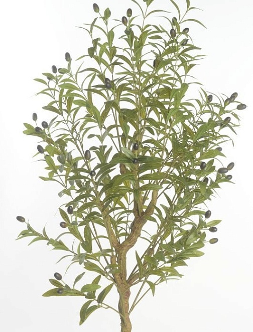 Олива искусcтвенная h170см зеленый