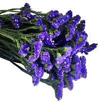 Статица Синяя (К) дл.70 1уп