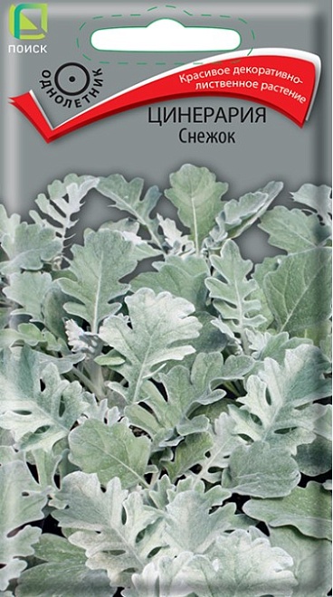 Цинерария Снежок 0,1г /Поиск
