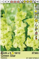 Гладиолус Грин Стар 10/12 5шт*