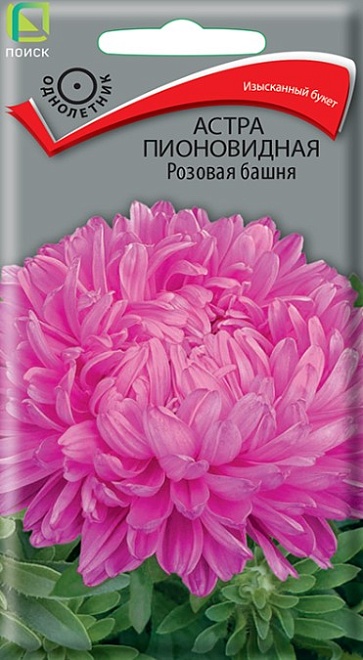Астра пионовидная Розовая Башня 0,3г /Поиск