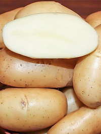 Картофель семенной