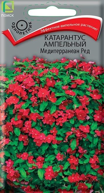 Катарантус ампельный Медитерранеан Ред 10шт /Поиск