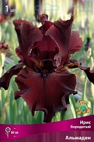 Ирис бородатый Альмаден 1шт