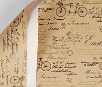 Пленка матовая 58см*10м 65мкр Винтажный велосипед белый