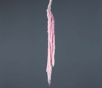 Амарантус сухоцвет 5шт 80-110см розовый светлый