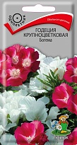 Годеция Богема крупноцв. 0,2г /Поиск