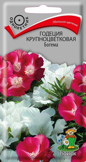 Годеция Богема крупноцв. 0,2г /Поиск