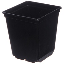 Горшок для рассады 0,25л 7*7*8см квадратный черный 