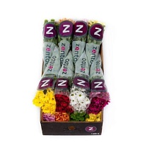 Хризантема кустовая Mix Flavour Zentoo 5шт