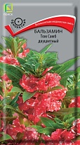 Бальзамин Том Самб двуцветный 0,1г /Поиск
