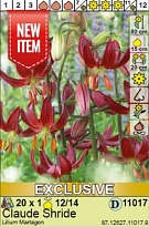 Лилия Клод Шрайд Мартагон 12/14 1шт*