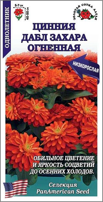 Цинния Дабл Захара Солнечная долина 5шт /ЗС