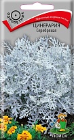 Цинерария Серебряная 0,2г /Поиск