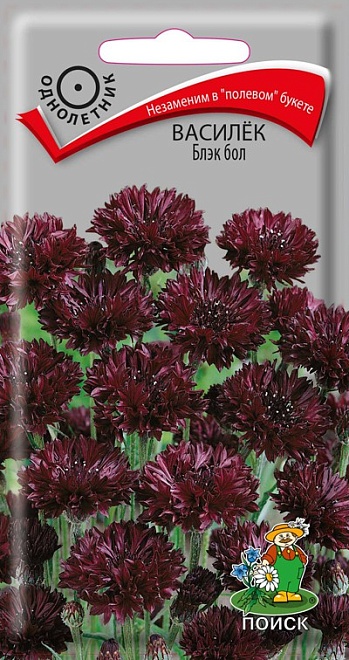 Василёк Блэк Бол 1г /Поиск