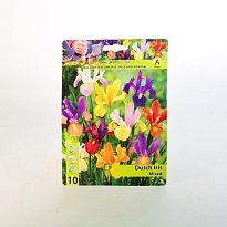 Ирис Голланд.микс 7/8 10шт*