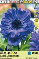 Анемона Лорд Лейтенант махр. 5/6 15шт*