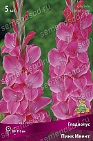 Гладиолус Пинк Ивент 10/12 5шт