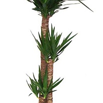 Юкка 3Д d21 h110 1шт