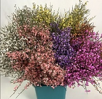 Джениста Mix пучок (200gr) 1шт