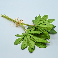 Зелень ветка искусственная зеленый 