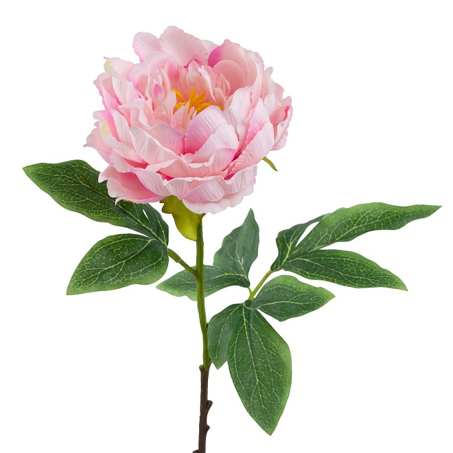 Пион одиночный, искусственный, h61см, светло-розовый