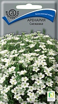 Аренария Снежинки 0,05г /Поиск