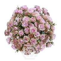 Роза куст. Tessa Baby Flow дл.50 10шт