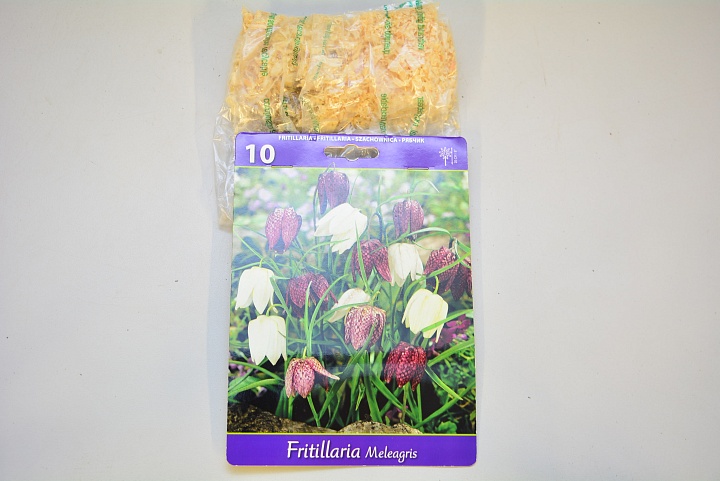 Рябчик (Fritillaria) Мелеагрис микс 5/+10шт*