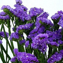 Статица Cryst Dark Blue 25 шт