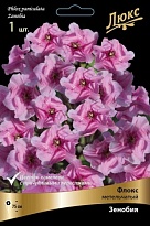 Флокс метельчатый Зенобия 1шт