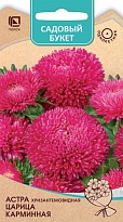 Астра хризантемовидная Царица Карминная 0,1г /Поиск