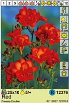 Фрезия Красная махровая 5/+ 10шт*