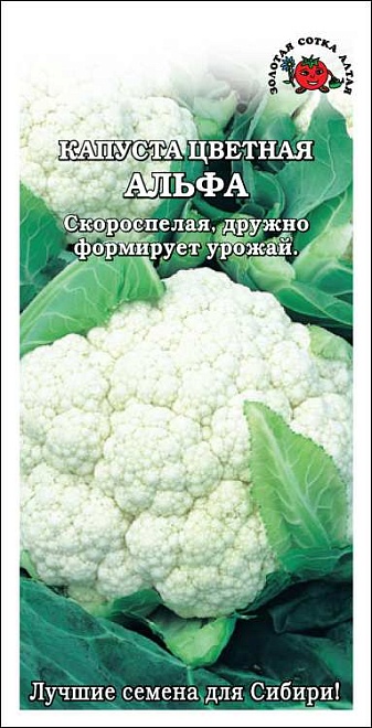 Капуста цветная Альфа скоросп. 0,3г /ЗС