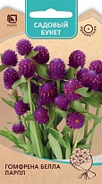 Гомфрена Белла Парпл 10шт /Поиск