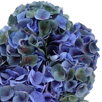 Гортензия Royal Crown Classic дл.80 d23 1шт