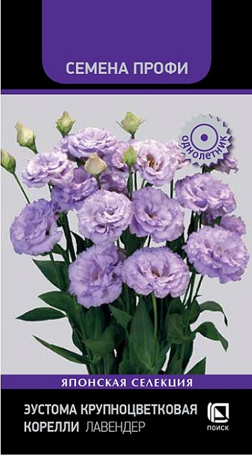 Эустома (Лизиантус) Корелли Лавендер 5шт /Поиск