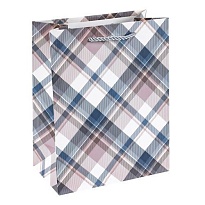 Пакет подарочный 18*23*10см Шотландский тартан серый