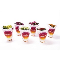 Каланхое Перфект микс d12 h25 10шт