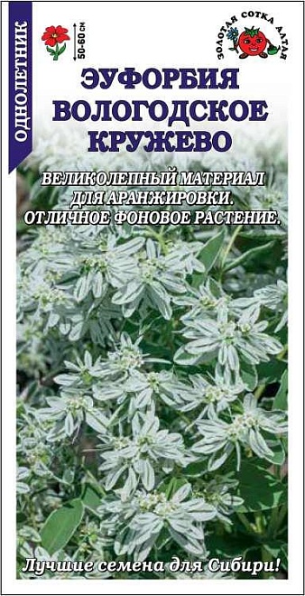 Эуфорбия (Молочай) Вологодское кружево 0,2г /ЗС